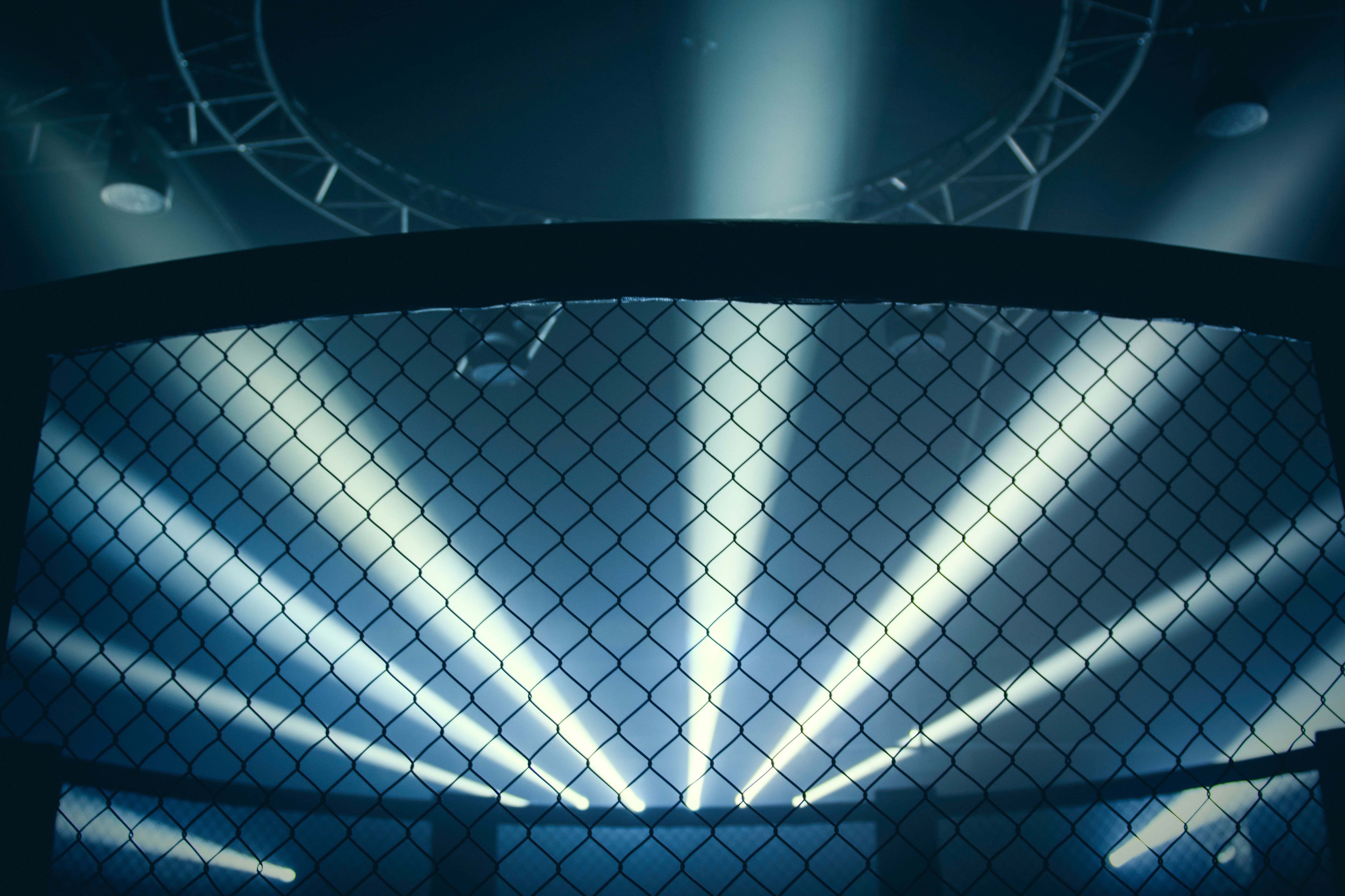 Fantasy MMA Platform Preview