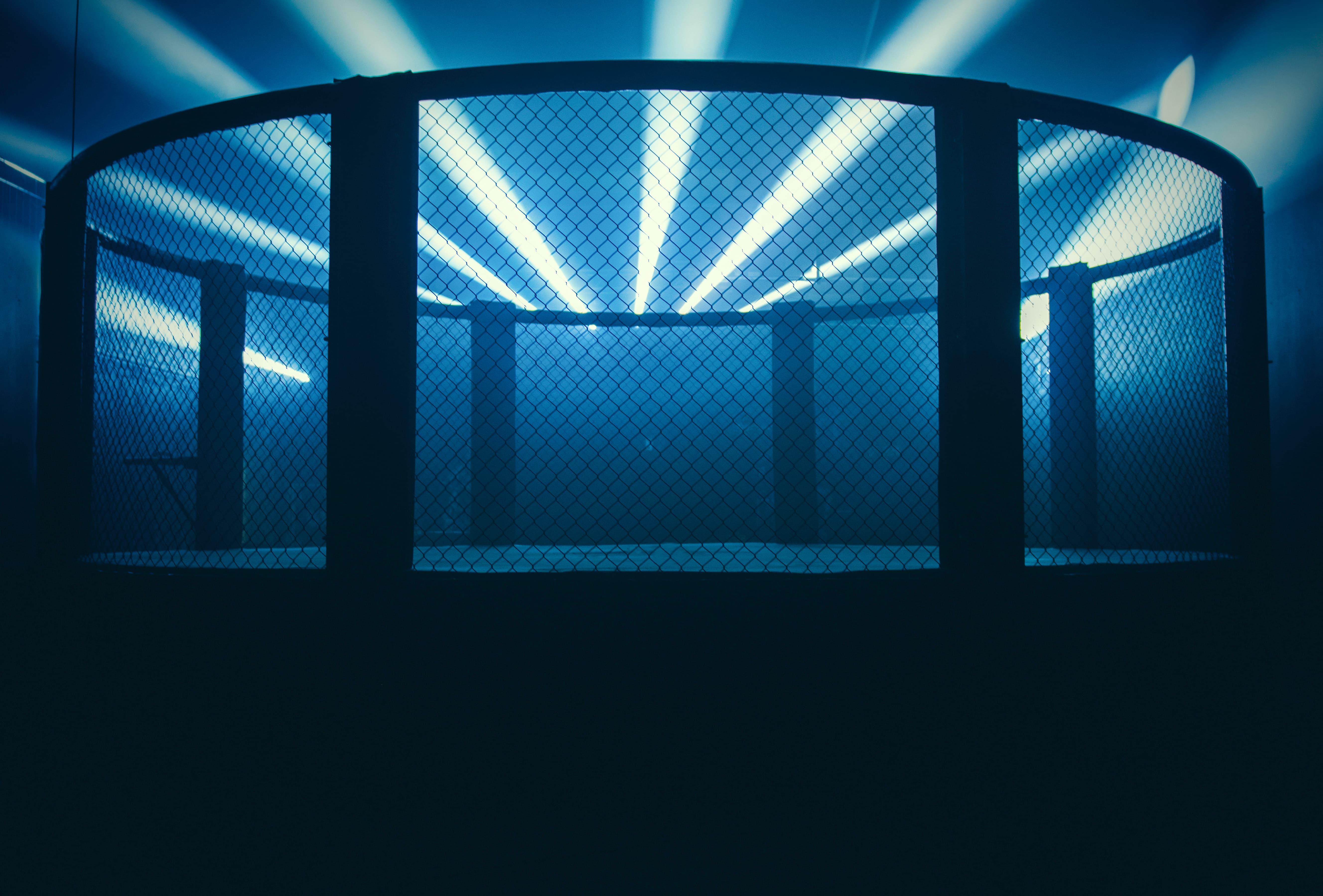 MMA Newsletter